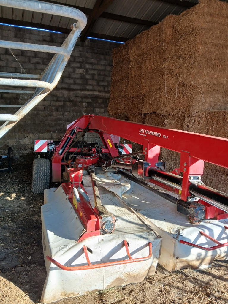 68c1a08d6577e7c18c6d2a64