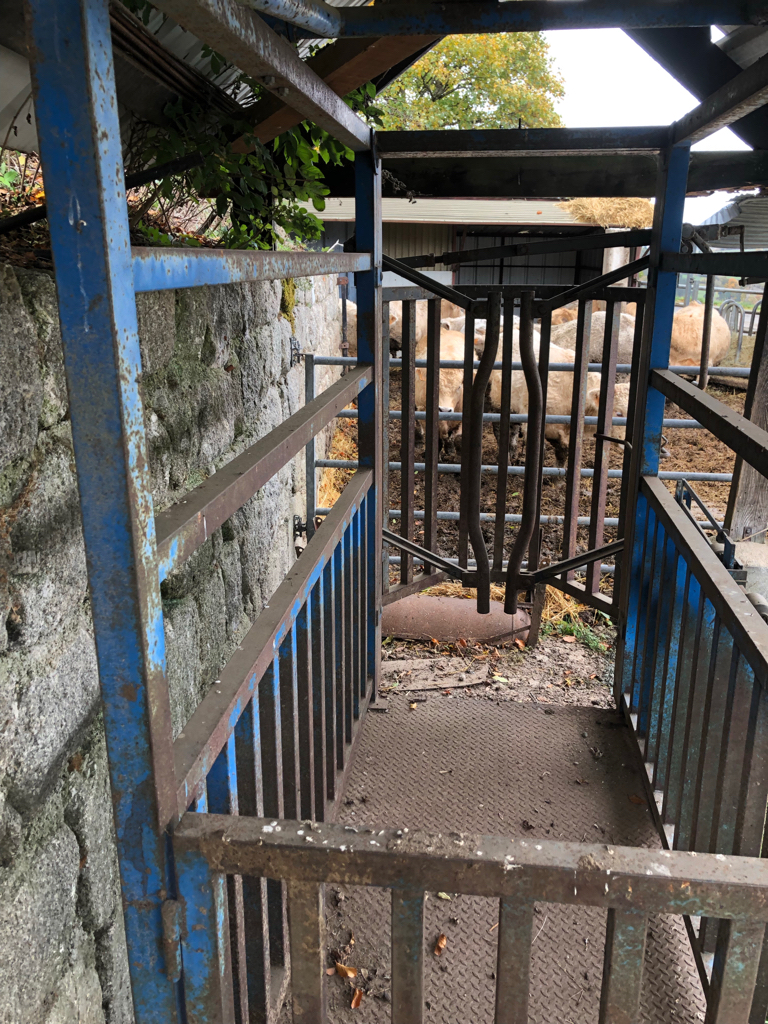 68f24b9699fc46d363ed0a88