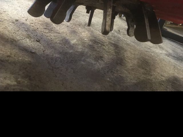picture 1