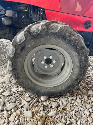 picture 2