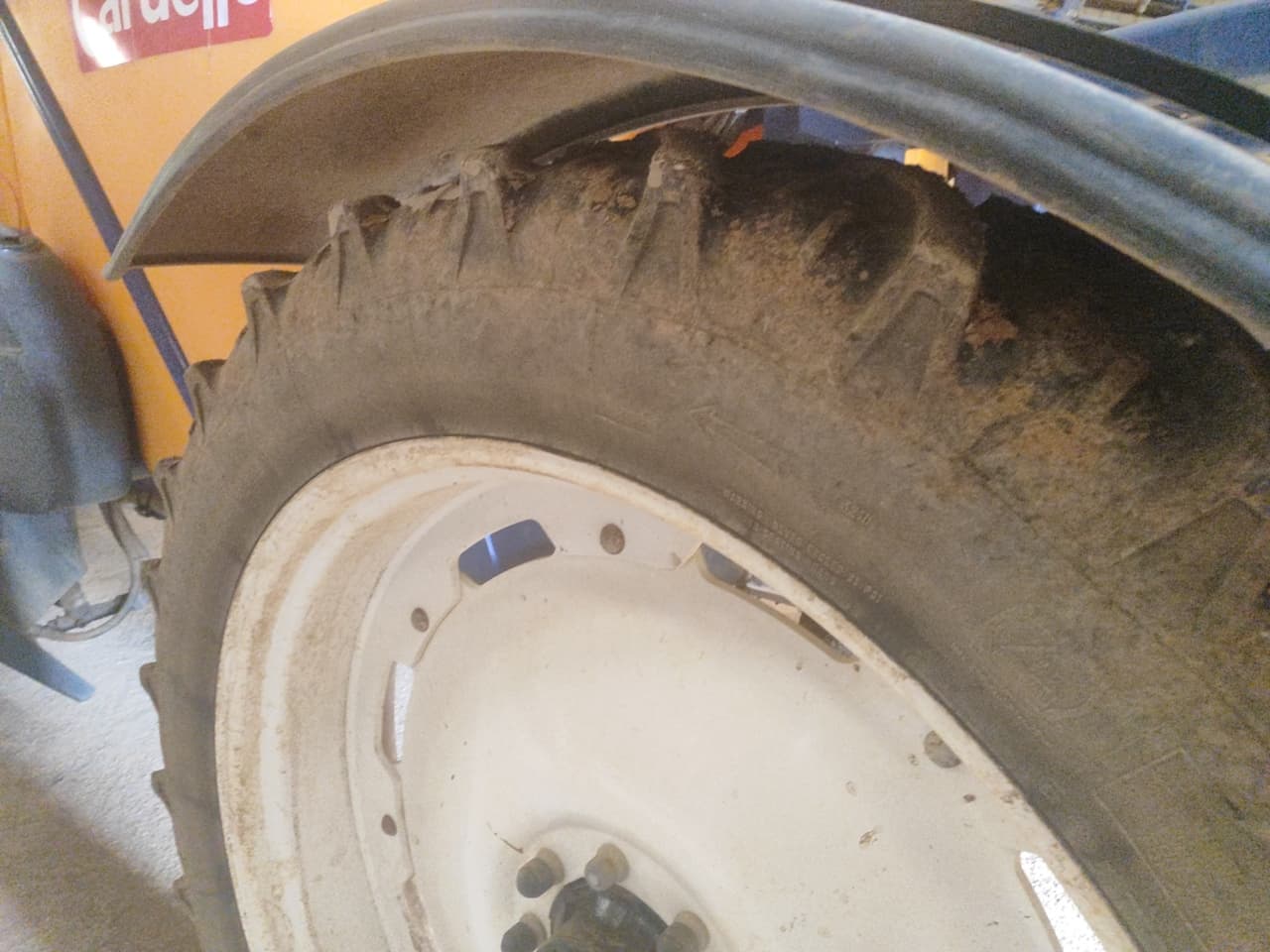 picture slide 7