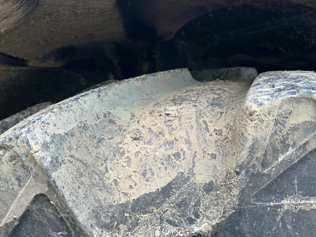 picture slide 11