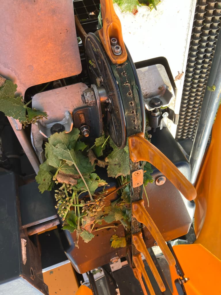 picture slide 17