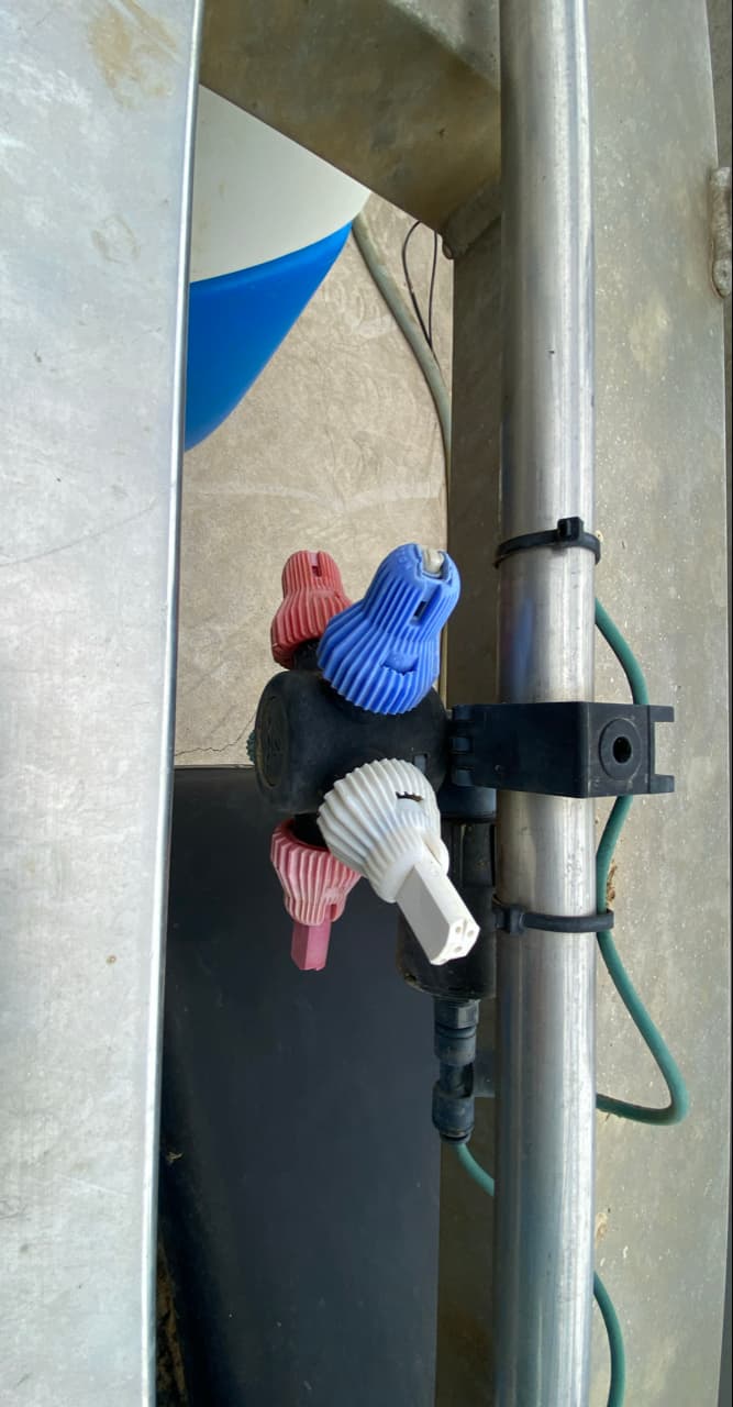 picture slide 13