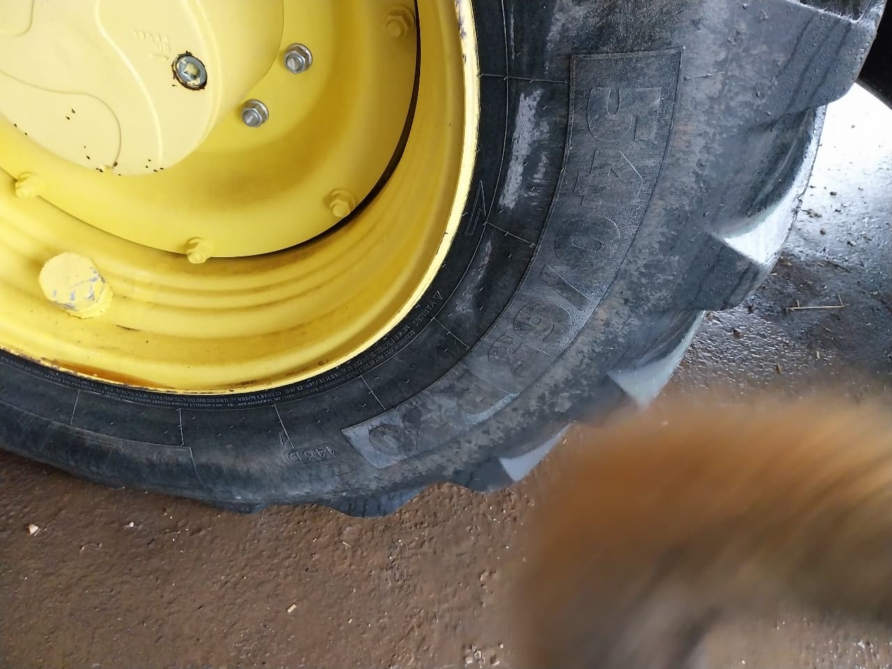 picture slide 12