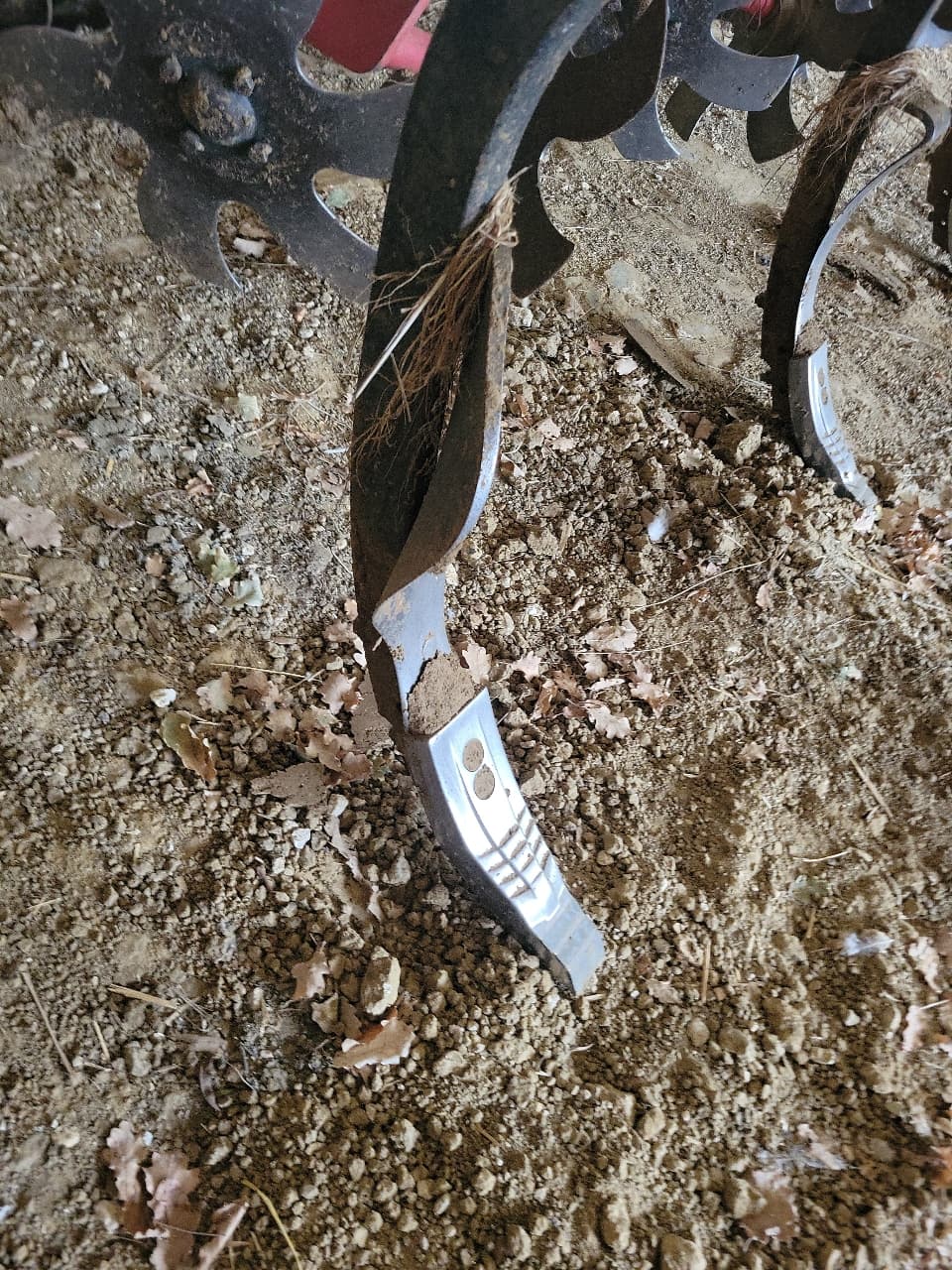 picture slide 4