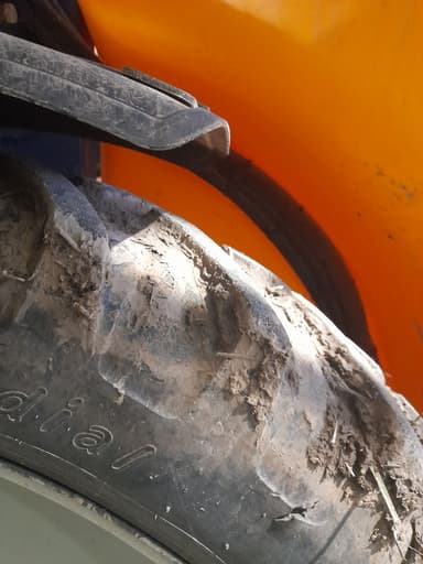 picture 1