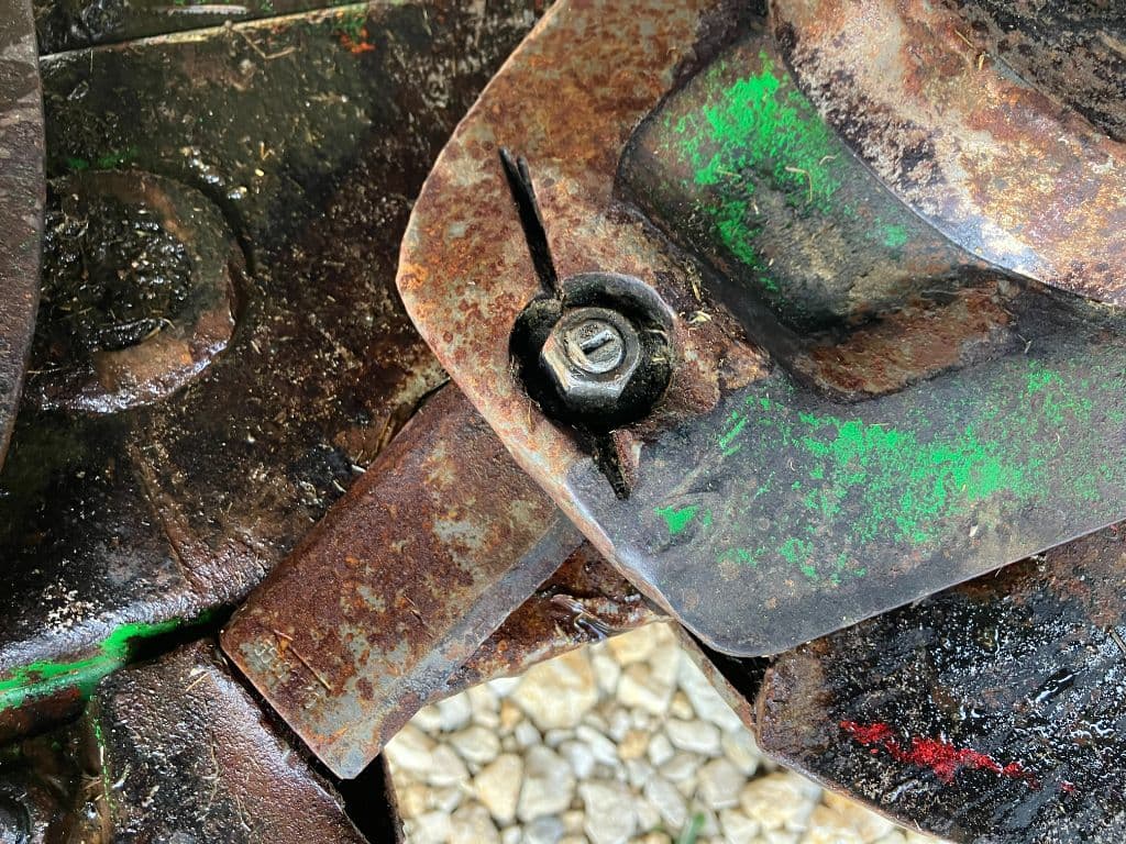 picture slide 19