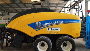 picture 0