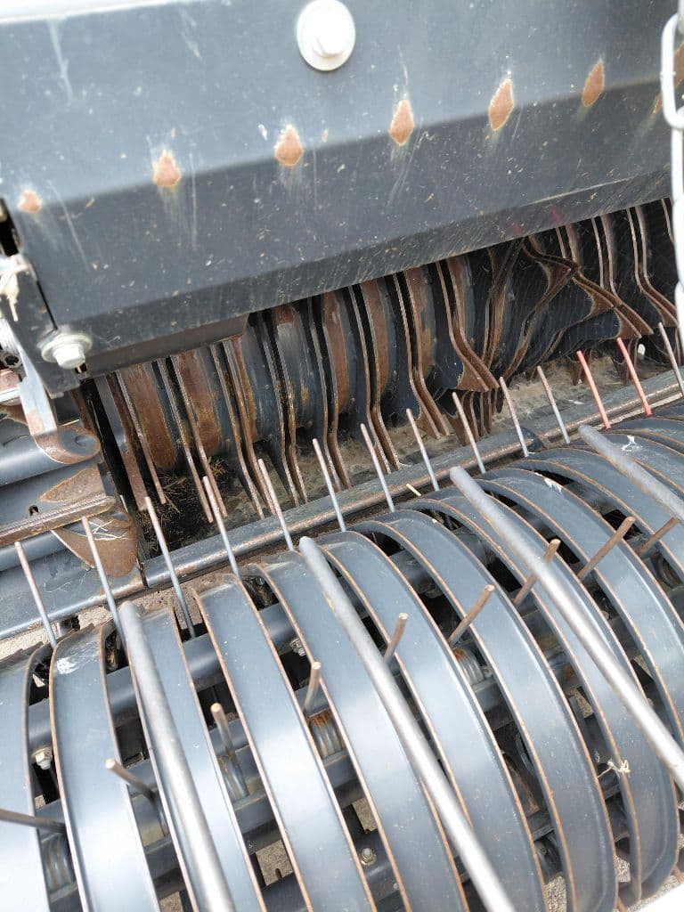 picture slide 5