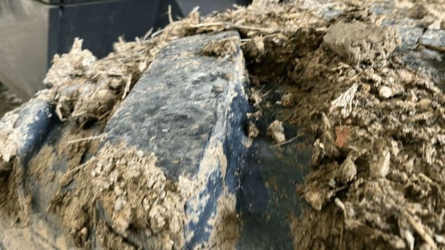 picture slide 21