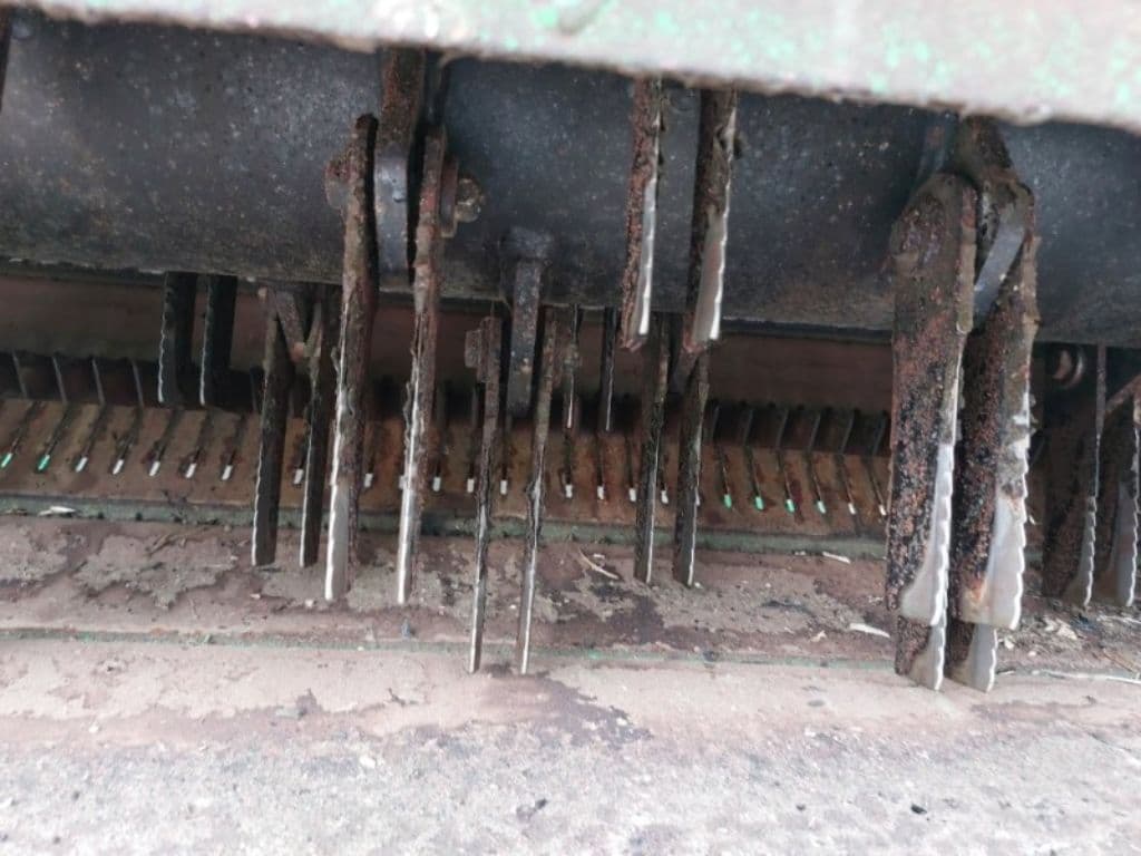 picture slide 37