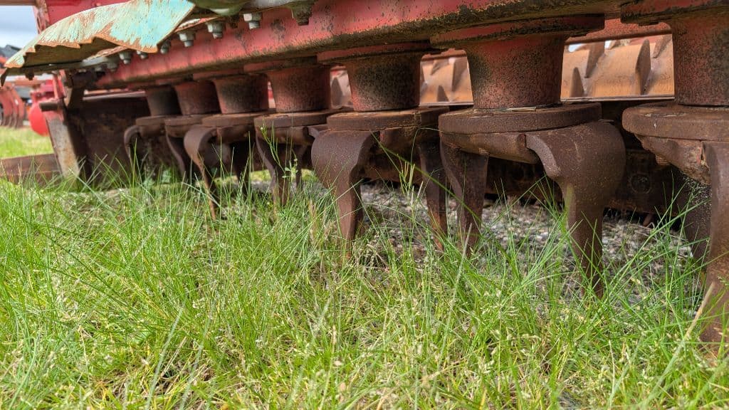 picture slide 6