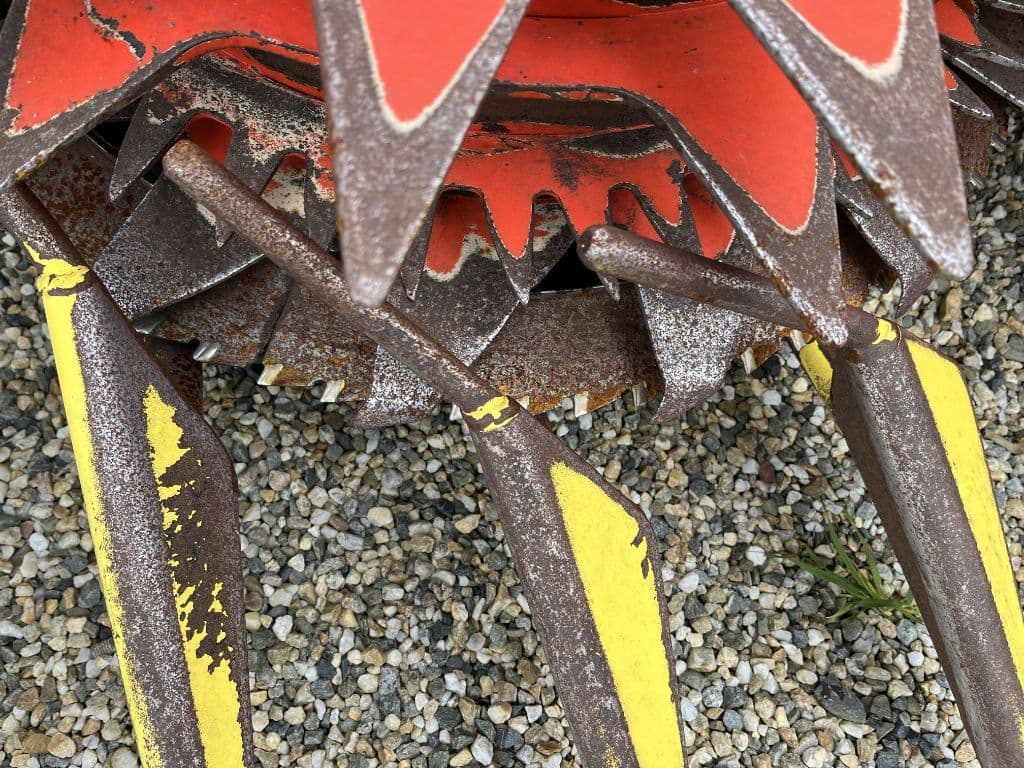 picture slide 8