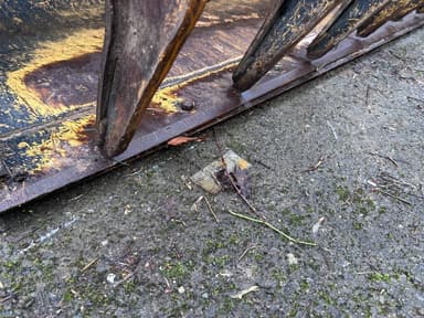Godet AUTRE 2.45 - photo 3