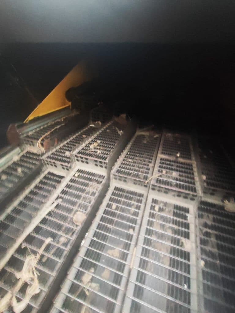 picture slide 18