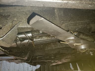 picture 1