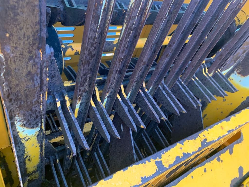 picture slide 8