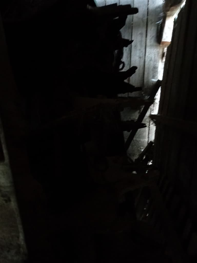 picture slide 6