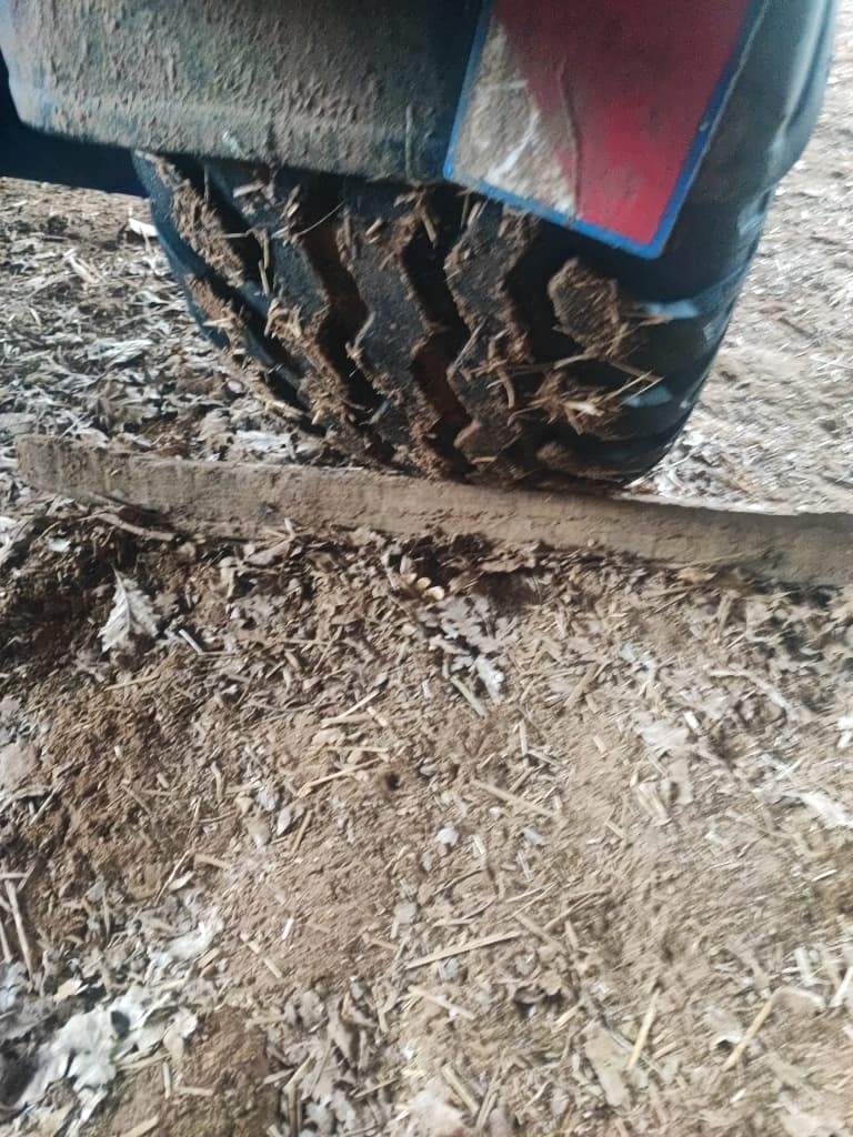 picture slide 3