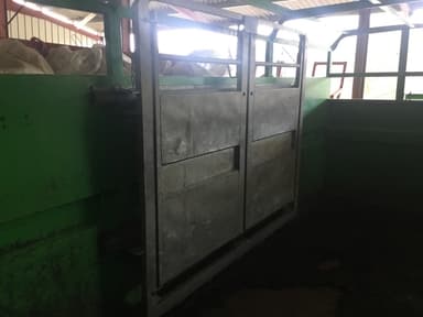 picture 2