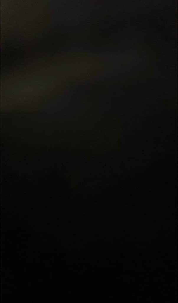 picture slide 14