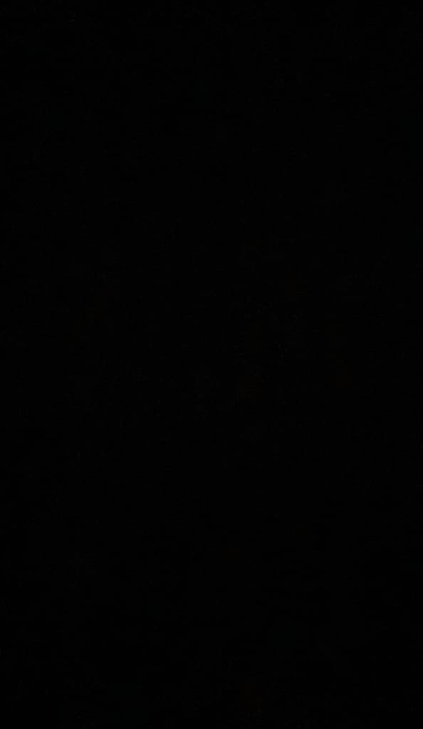 picture slide 7