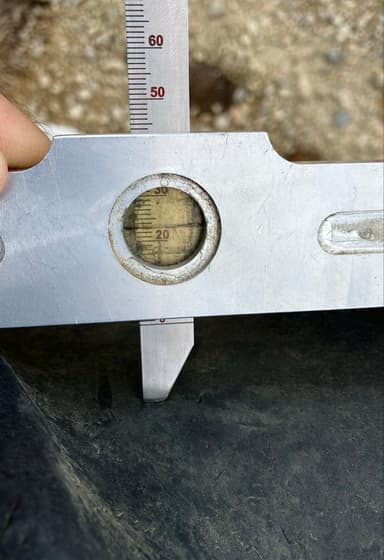 picture 1