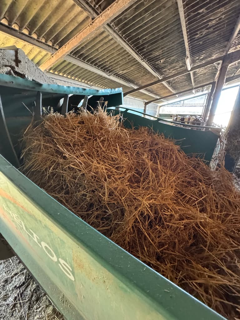picture slide 3