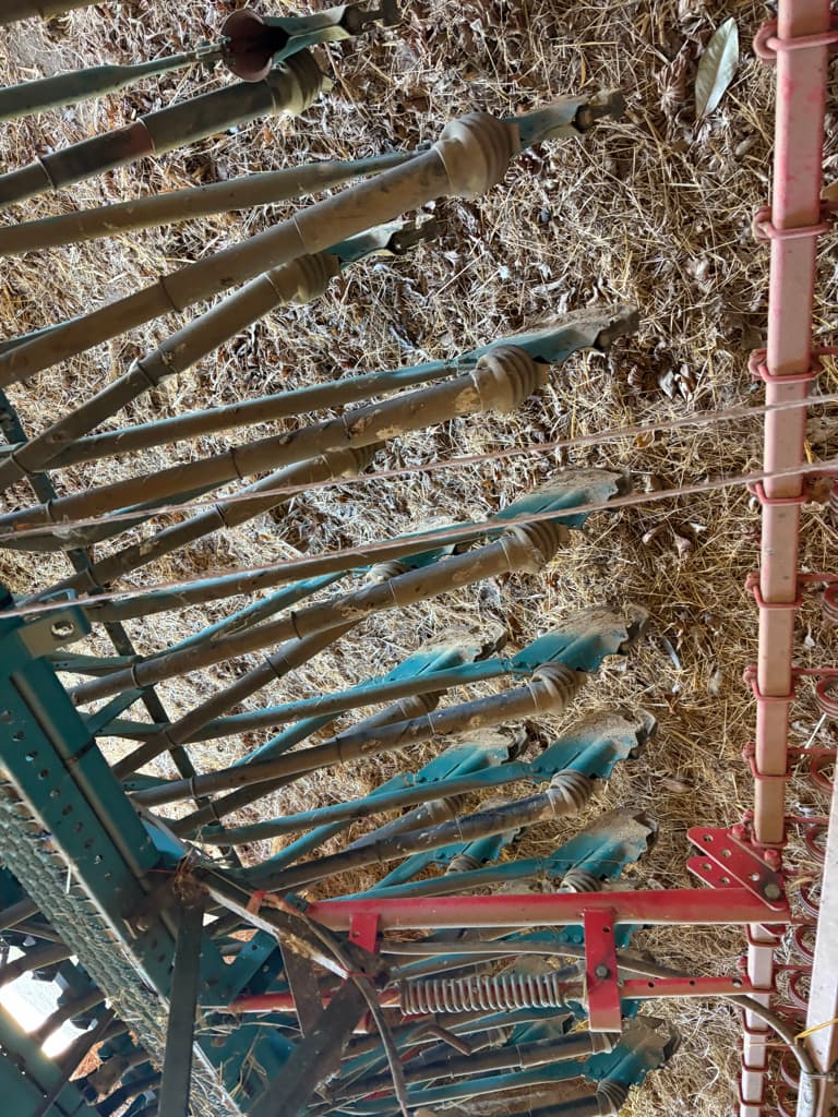 picture slide 6