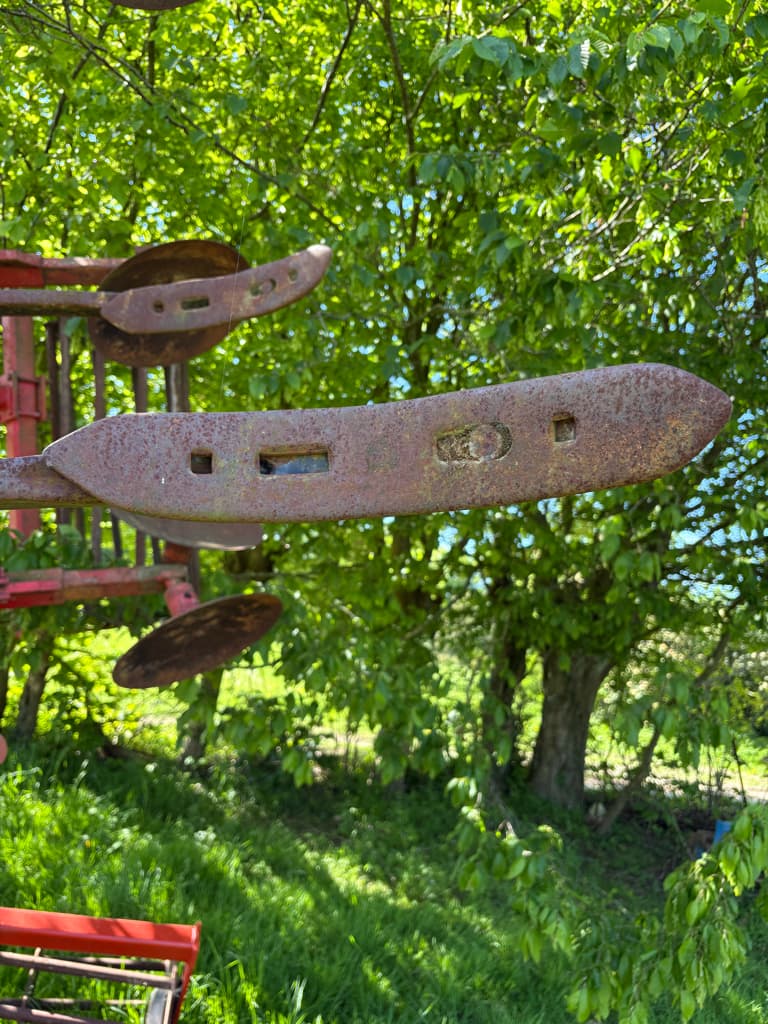 picture slide 4