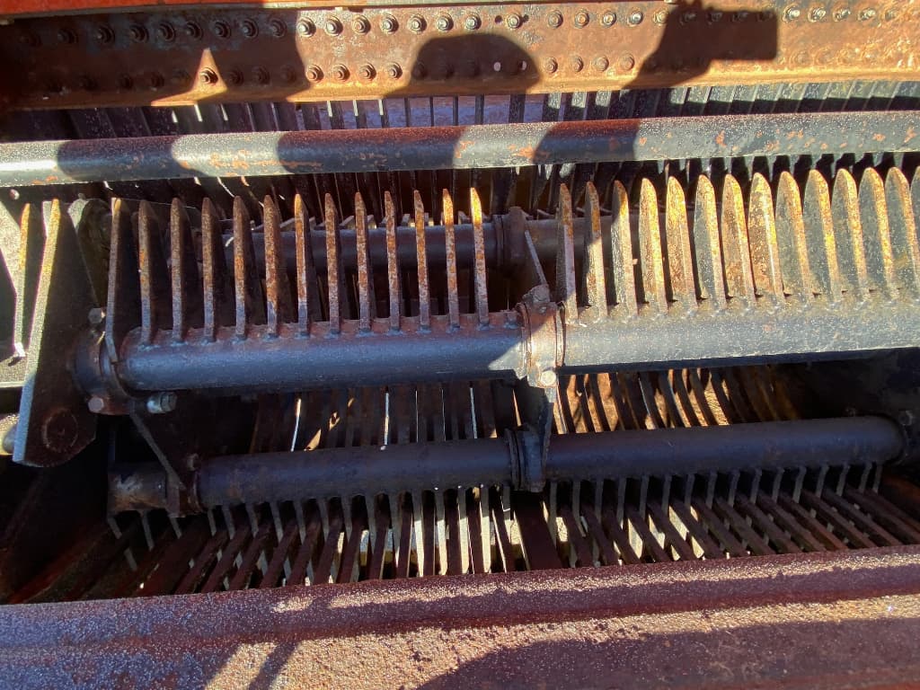 picture slide 5