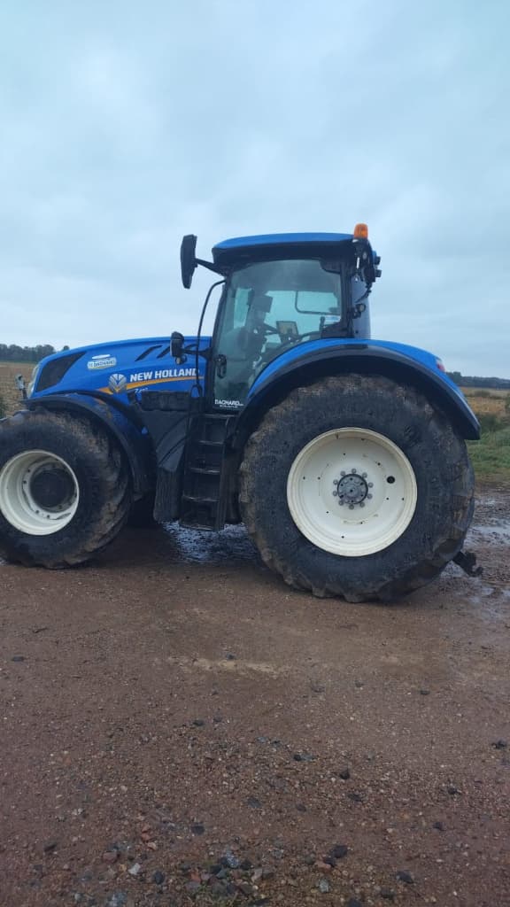 main picture