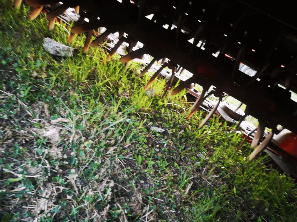 picture slide 45