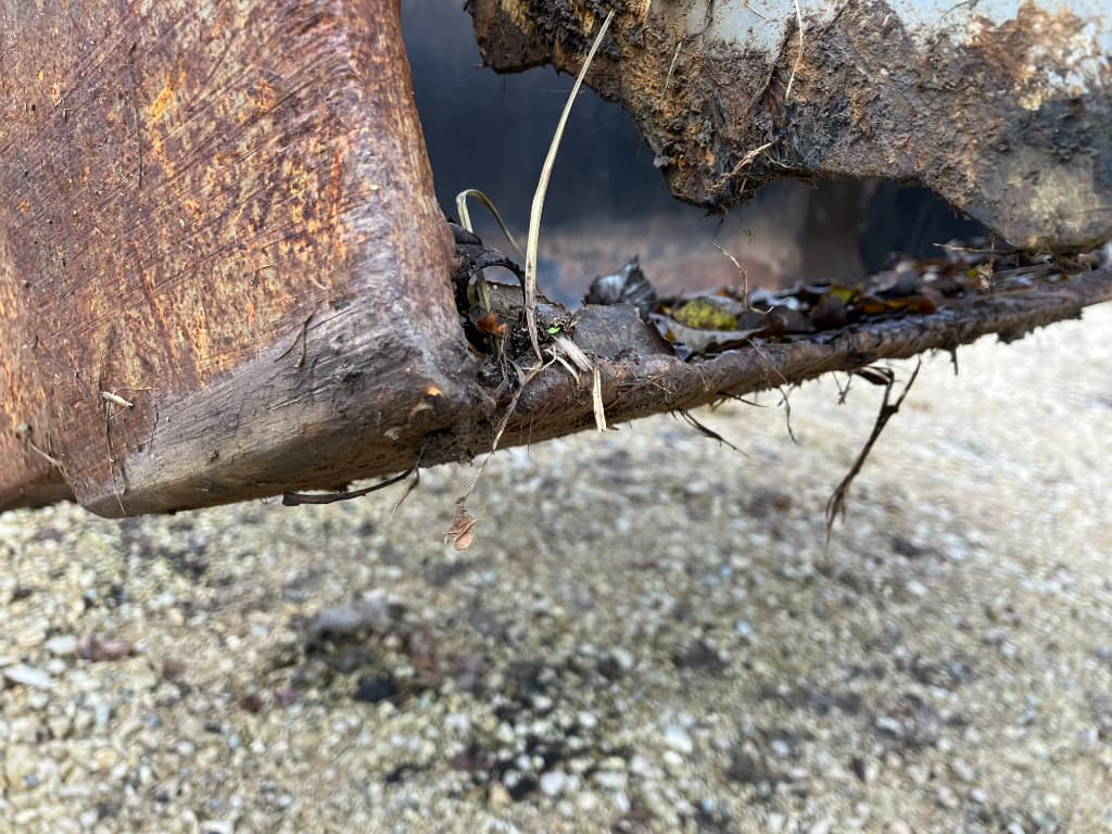 picture slide 29