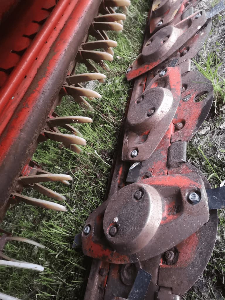 picture slide 37
