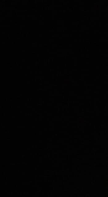 picture slide 3