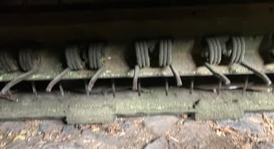 picture 1