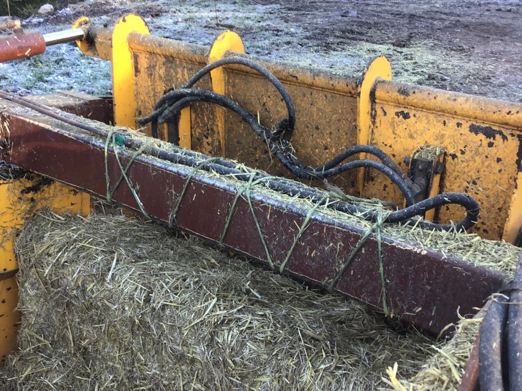 picture slide 10