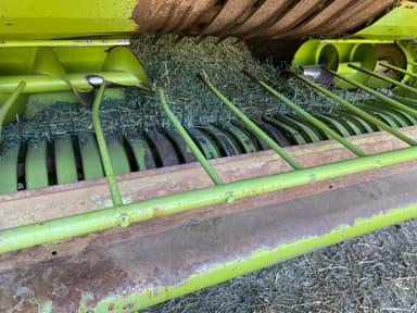 picture 2