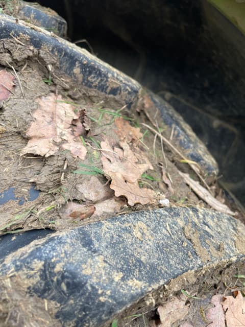 picture slide 6