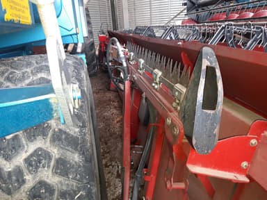 picture 2