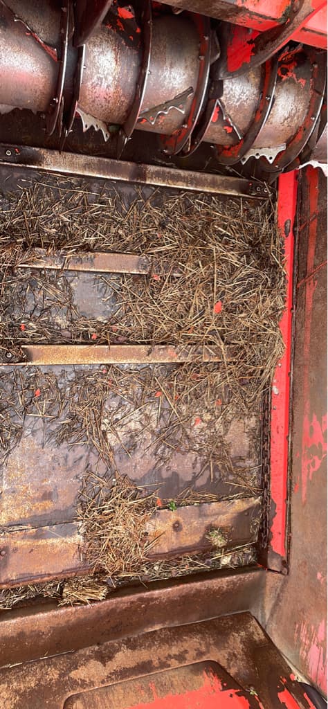 picture slide 9