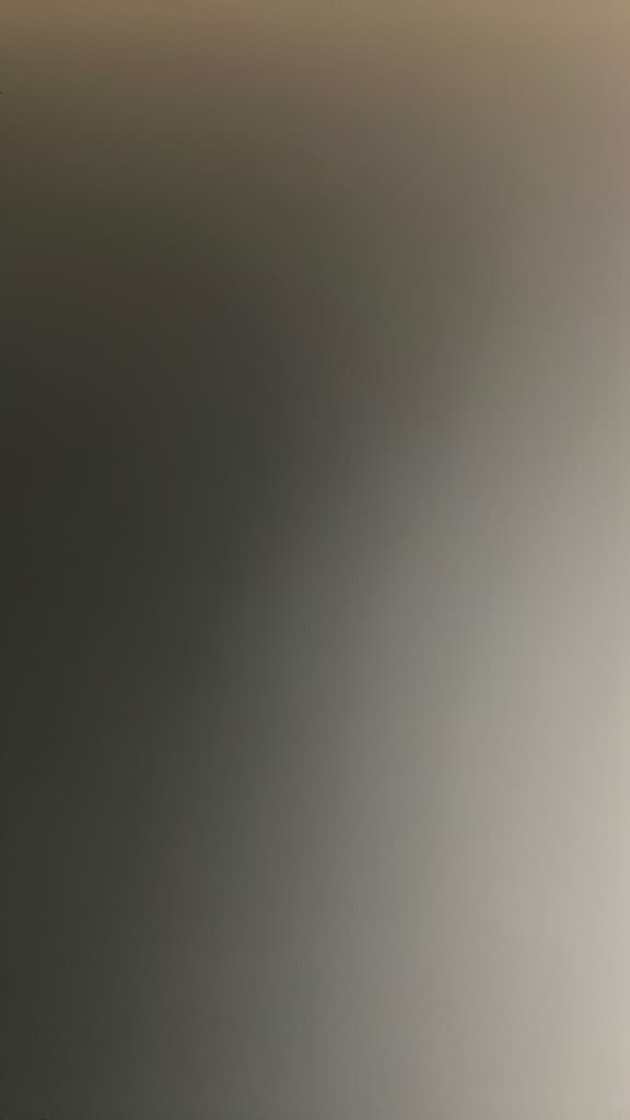 picture slide 6