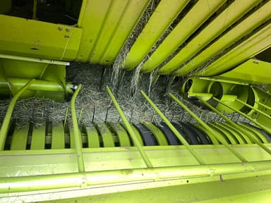 picture 1