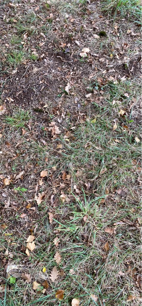 picture slide 5
