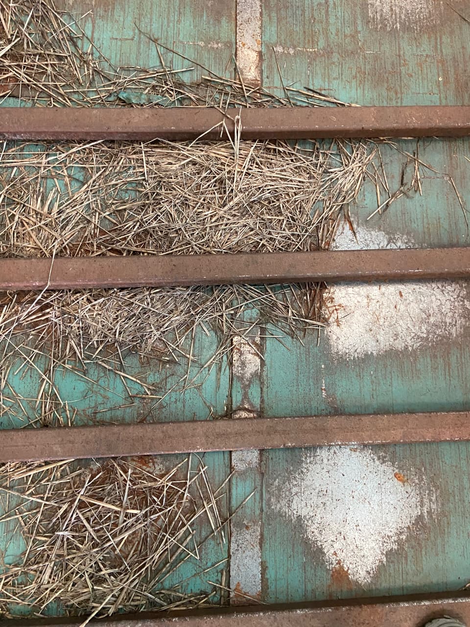 picture slide 9
