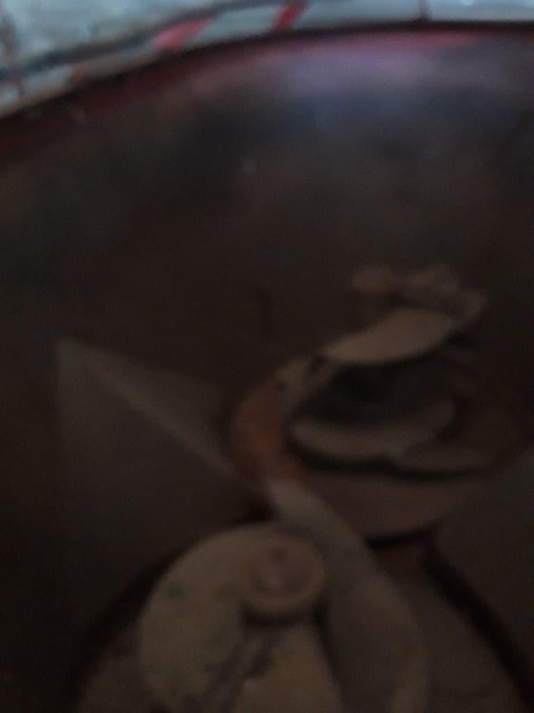 picture slide 12