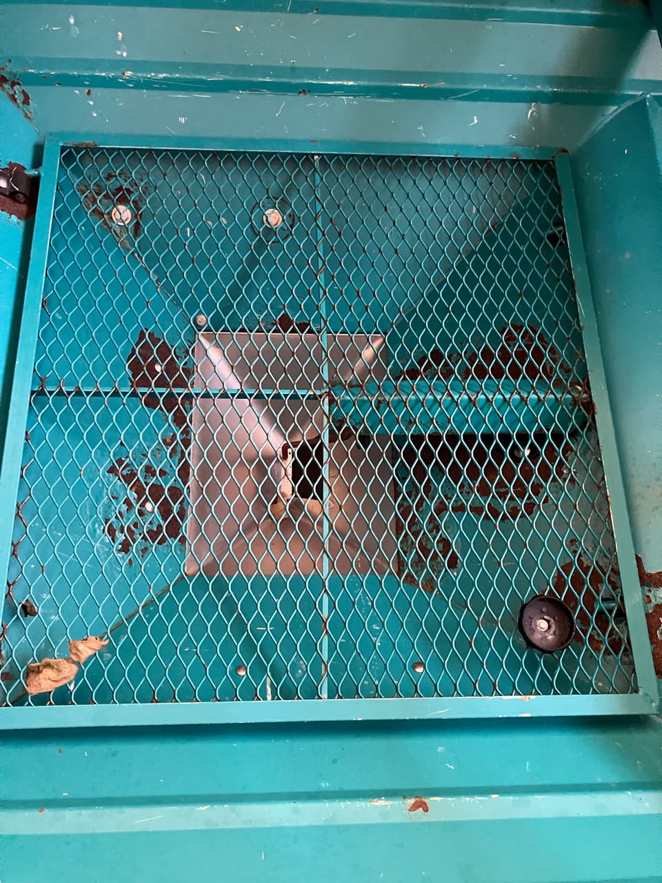 picture slide 13