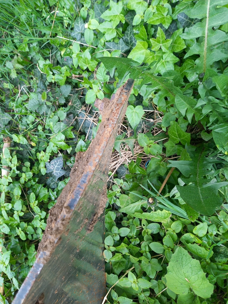 picture slide 9